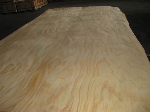 Pine venee without knots