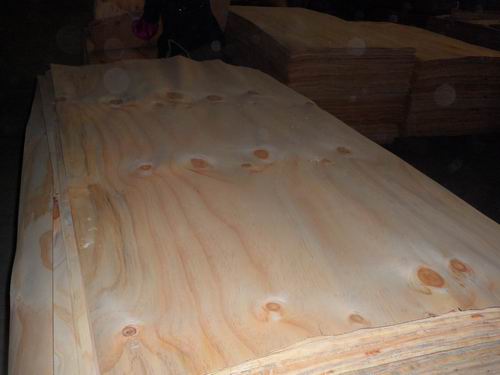 Radiate pine veneer with knots