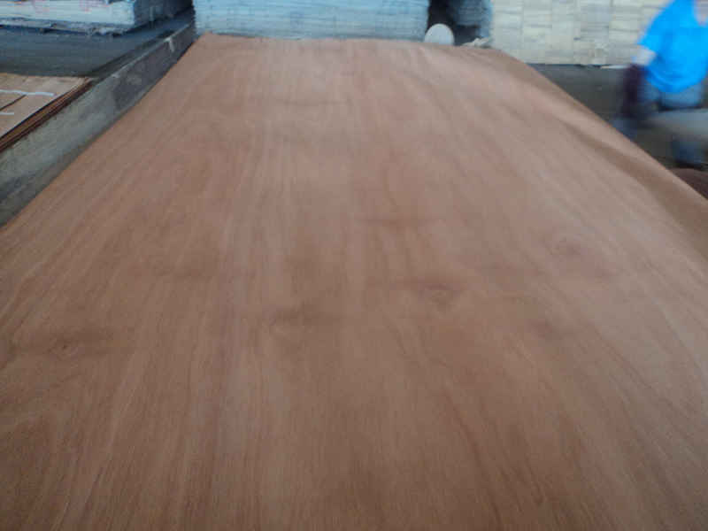 canarium veneer B grade