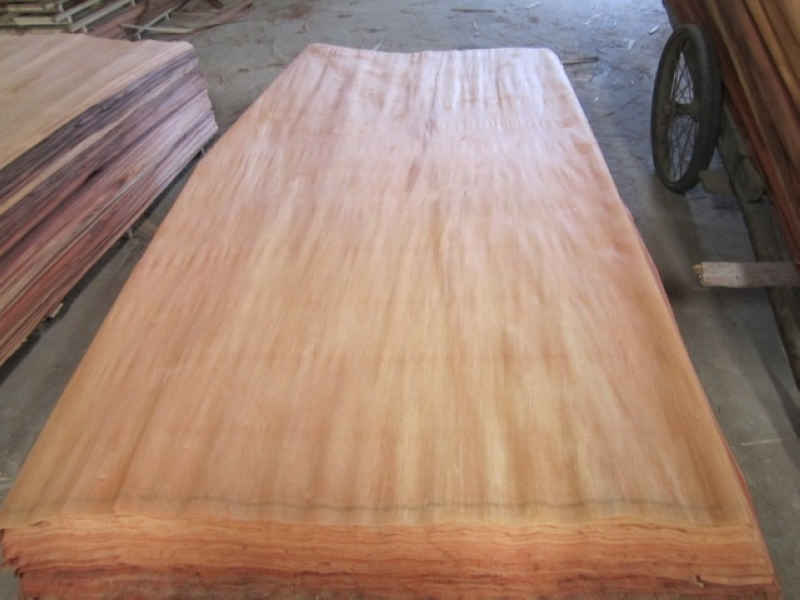 canarium veneer A grade