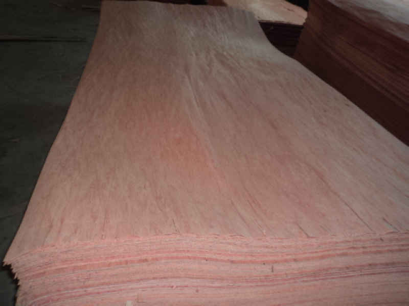 Bingtangor veneer B grade 