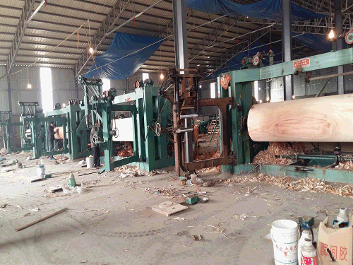 rotary machine