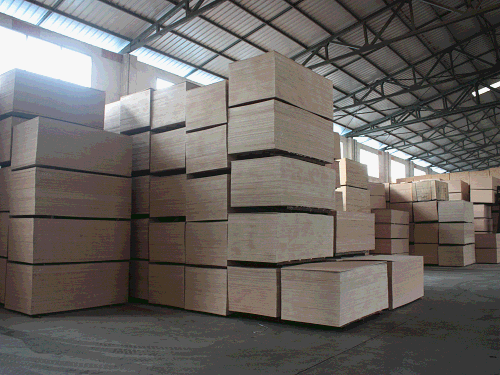 Stock