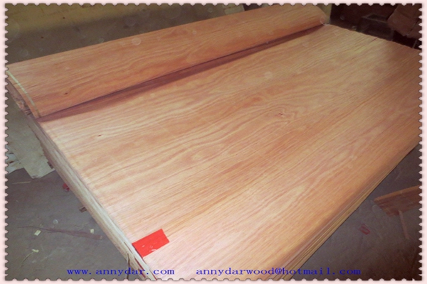 PLB B grade 