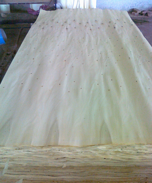 4X8 whole sheet popplar veneer knoty 
