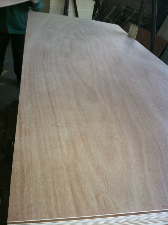 okoume  face door skin plywood 