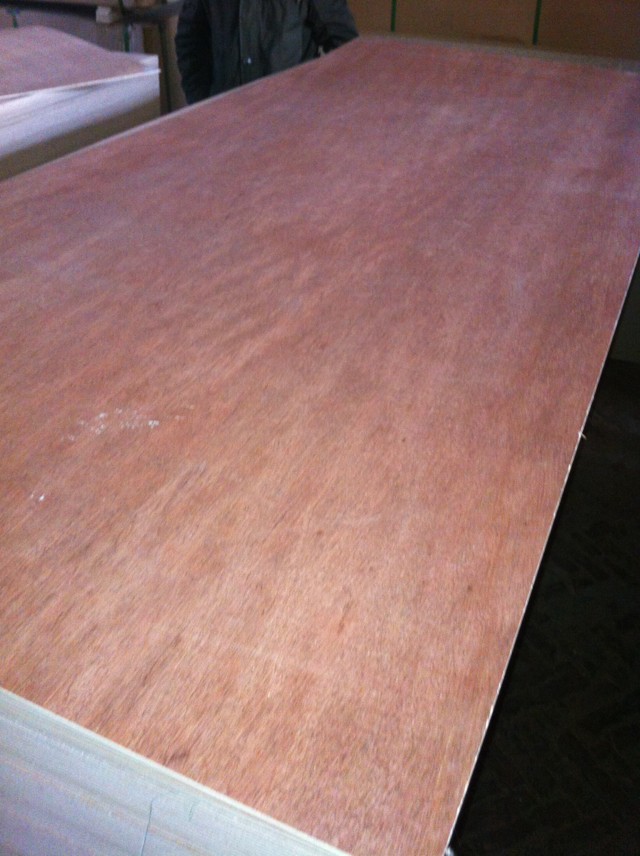 canarium face door skin plywood 