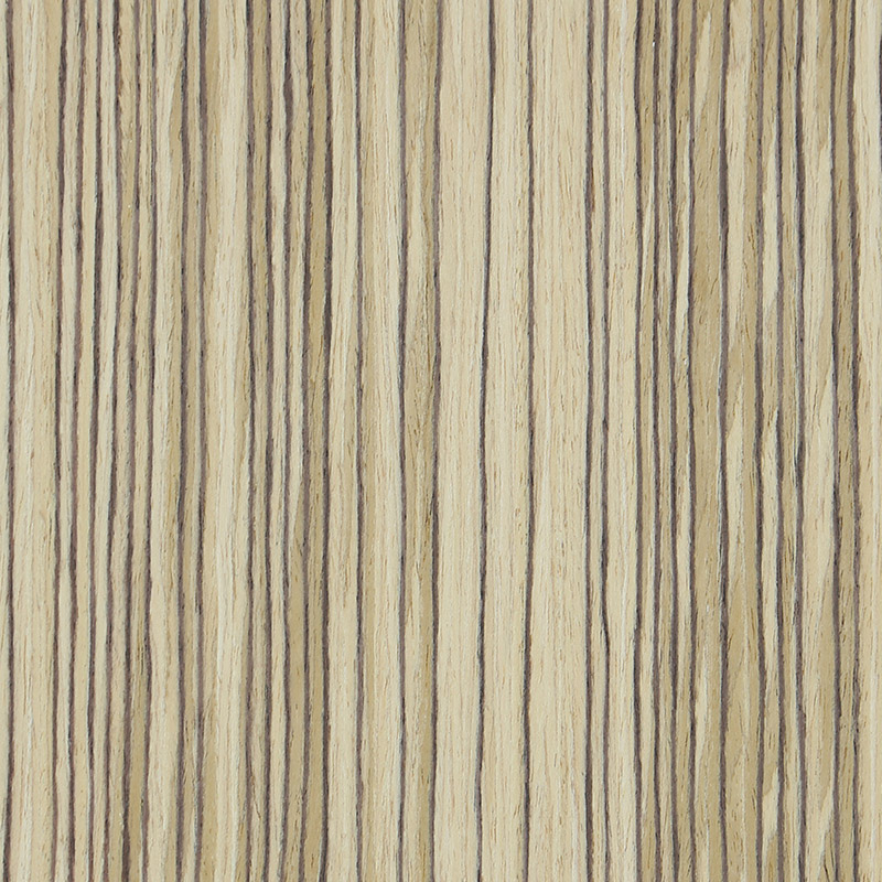 Zebra-ZB-011S